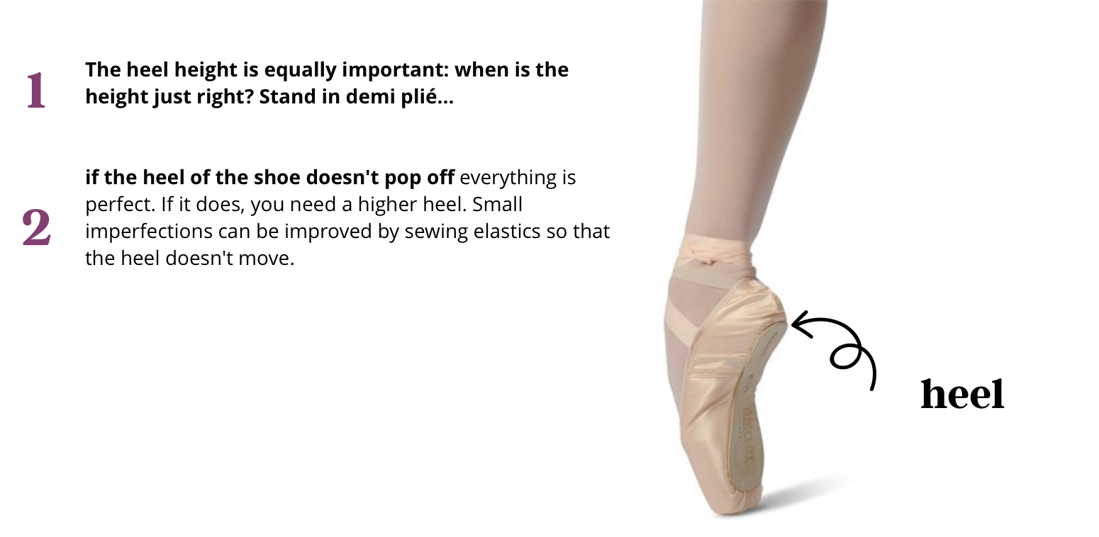 How To Choose Your Pointe Shoes Flamencista 6182